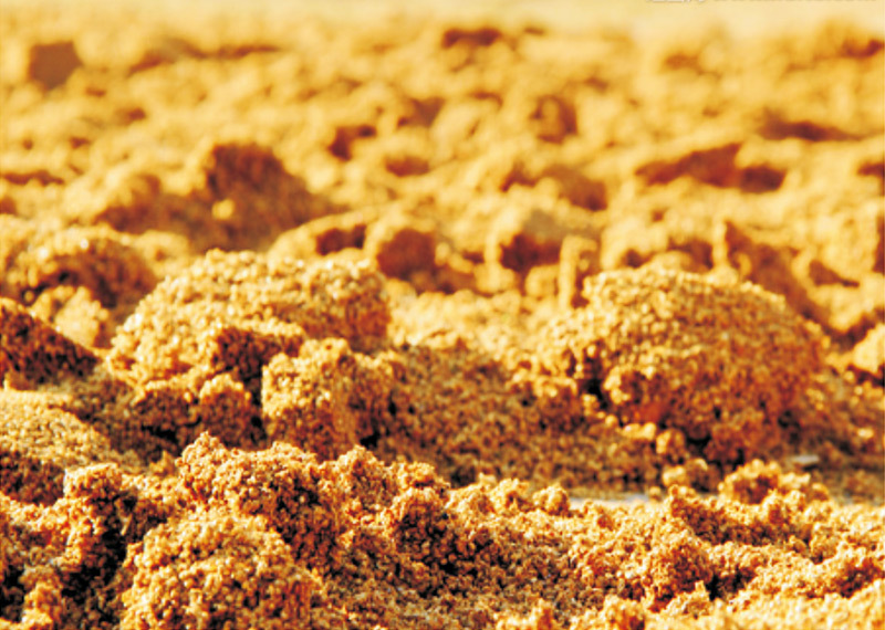 糟渣有(yǒu)機(jī)肥生(shēng)産線