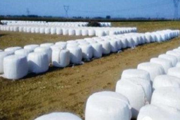 農(nóng)村(cūn)廢棄物(wù)發酵料案例