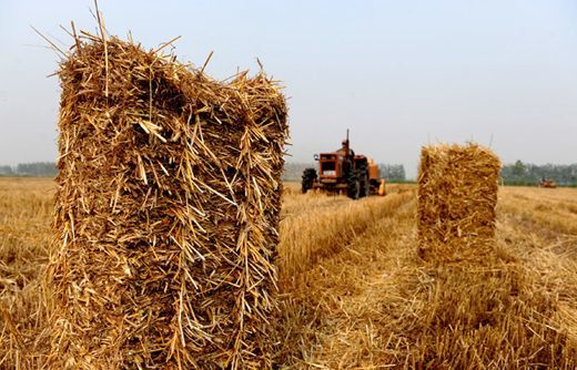 什(shén)麽是(shì)農(nóng)作(zuò)物(wù)稭稈綜合利用(yòng)