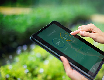 牧場(chǎng)智能(néng)物(wù)聯網系統