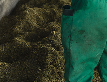 牧場(chǎng)糞便無害化(huà)處理(lǐ)方案